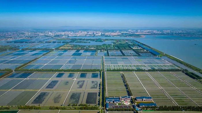 航拍高淳固城湖螃蟹核心區(qū)。高淳區(qū)融媒體中心供圖